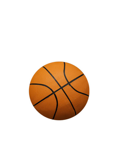 Basketballs