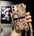 Compatible with Apple, Suitable For Apple 11 Via Mobile Phone Case With The Same Cross-body Iphone7plus All-inclusive 8p Snake Pattern Wallet Card - Dweky.se